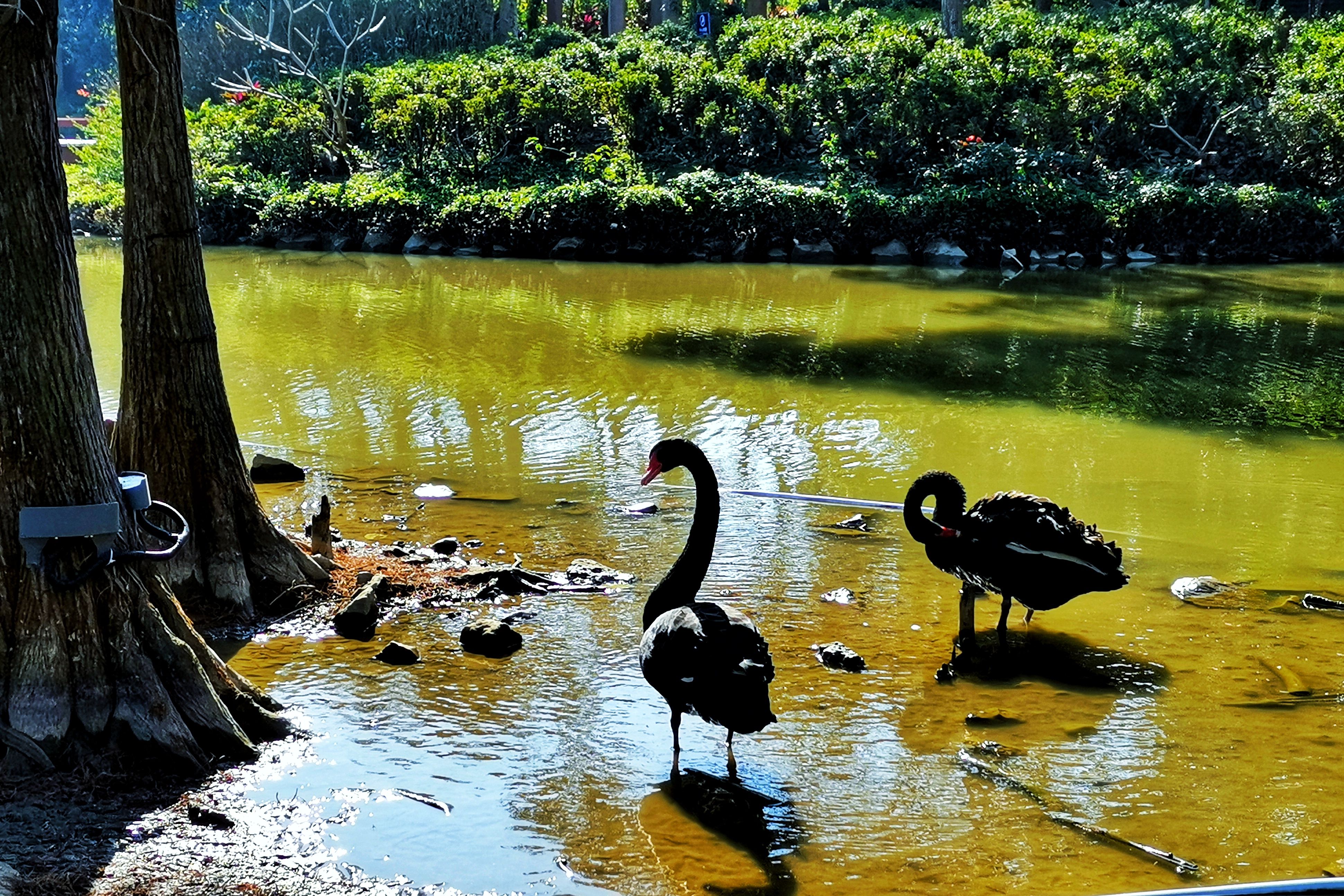 森波拉旅游度假森林游玩攻略,森波拉冰川水谷自驾游