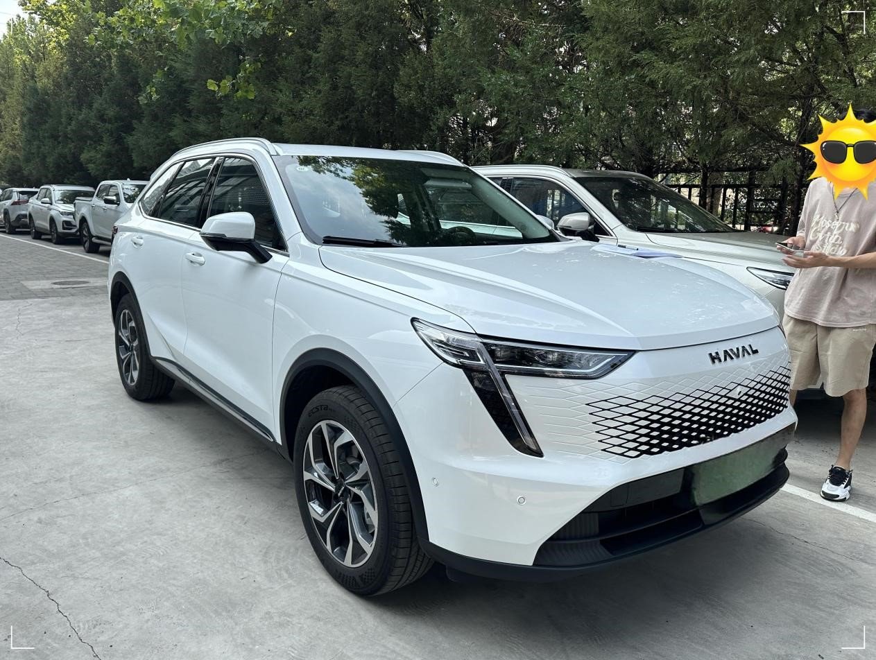 哈弗枭龙max上坡会自动四驱,哈弗枭龙max纯电车体验