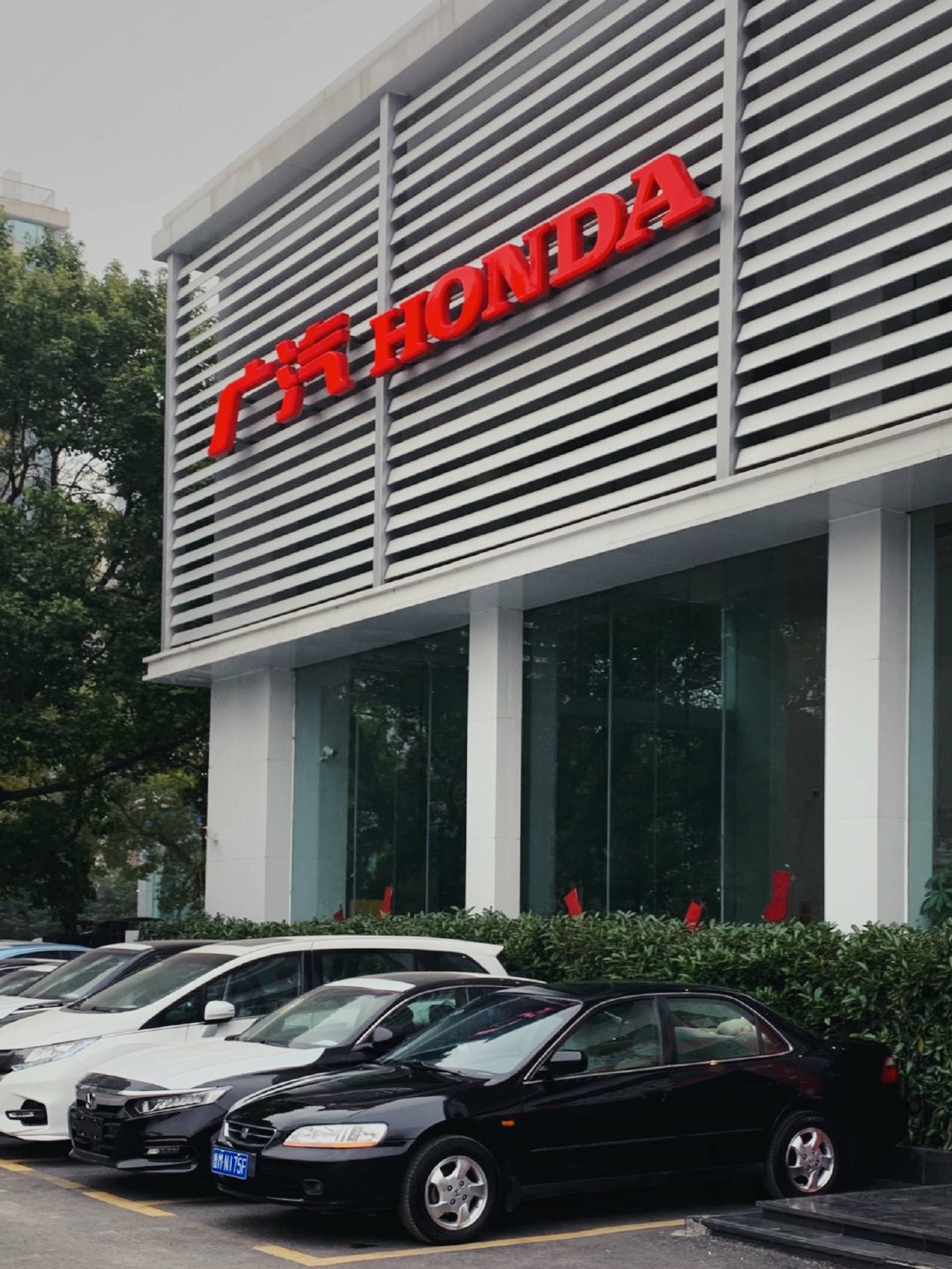 时光机器——纪念拥有广本第六代雅阁一周年