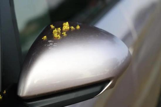 纯电动小钢炮车型,最建议买的微型新能源车