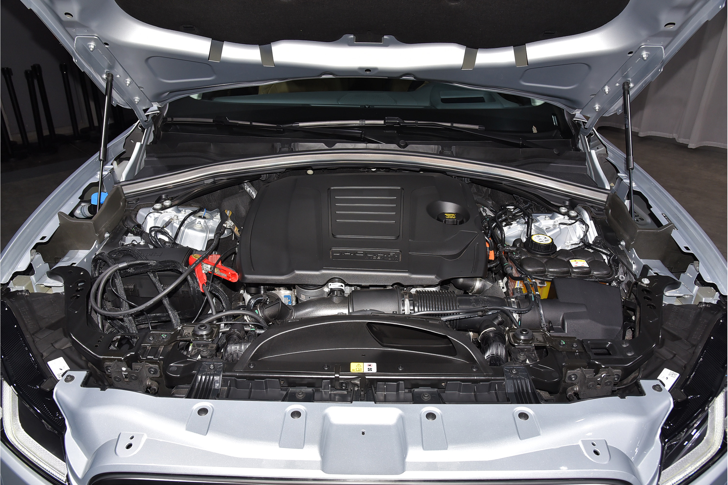 好看的捷豹视频,好看的捷豹