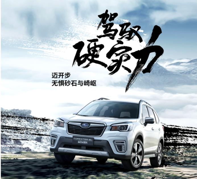 15年斯巴鲁森林人特别纪念版,15年斯巴鲁森林人