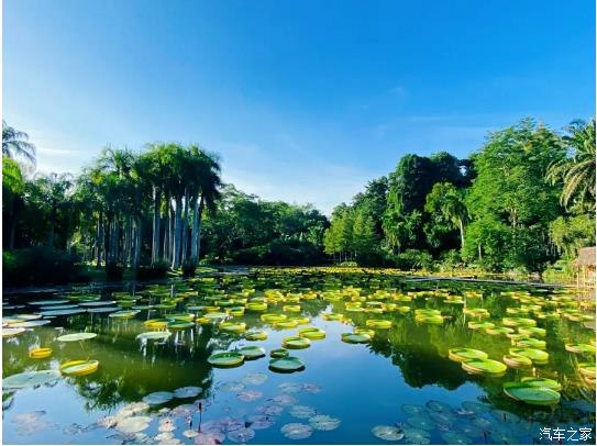 西双版纳星光夜市出发自驾游,西双版纳星光夜市旅游攻略