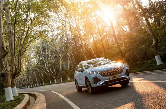 科技平权触手可及,科技平权