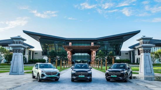 魏牌拿铁dht-phev后排放倒多少厘米,魏牌拿铁dhtphev纯电续航测试