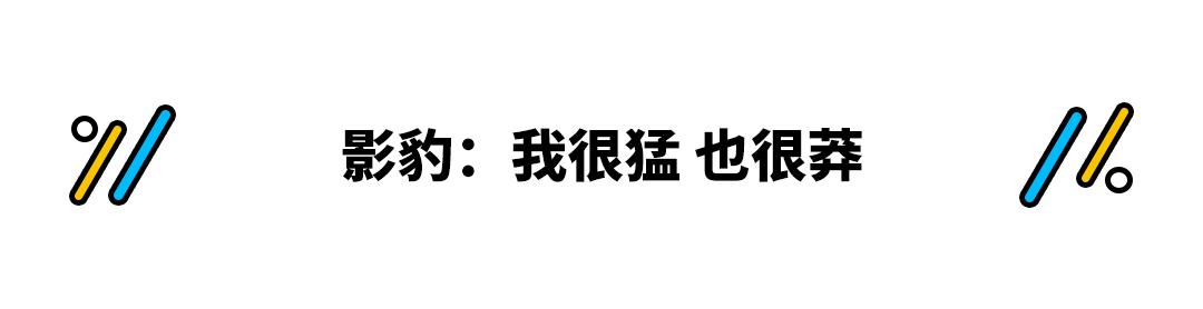 10万左右性价比高的车影豹,传祺影豹10万轿跑
