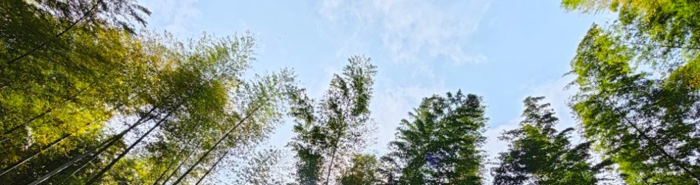 云贵川环线自驾游线路推荐表,云贵川渝自驾游线路推荐