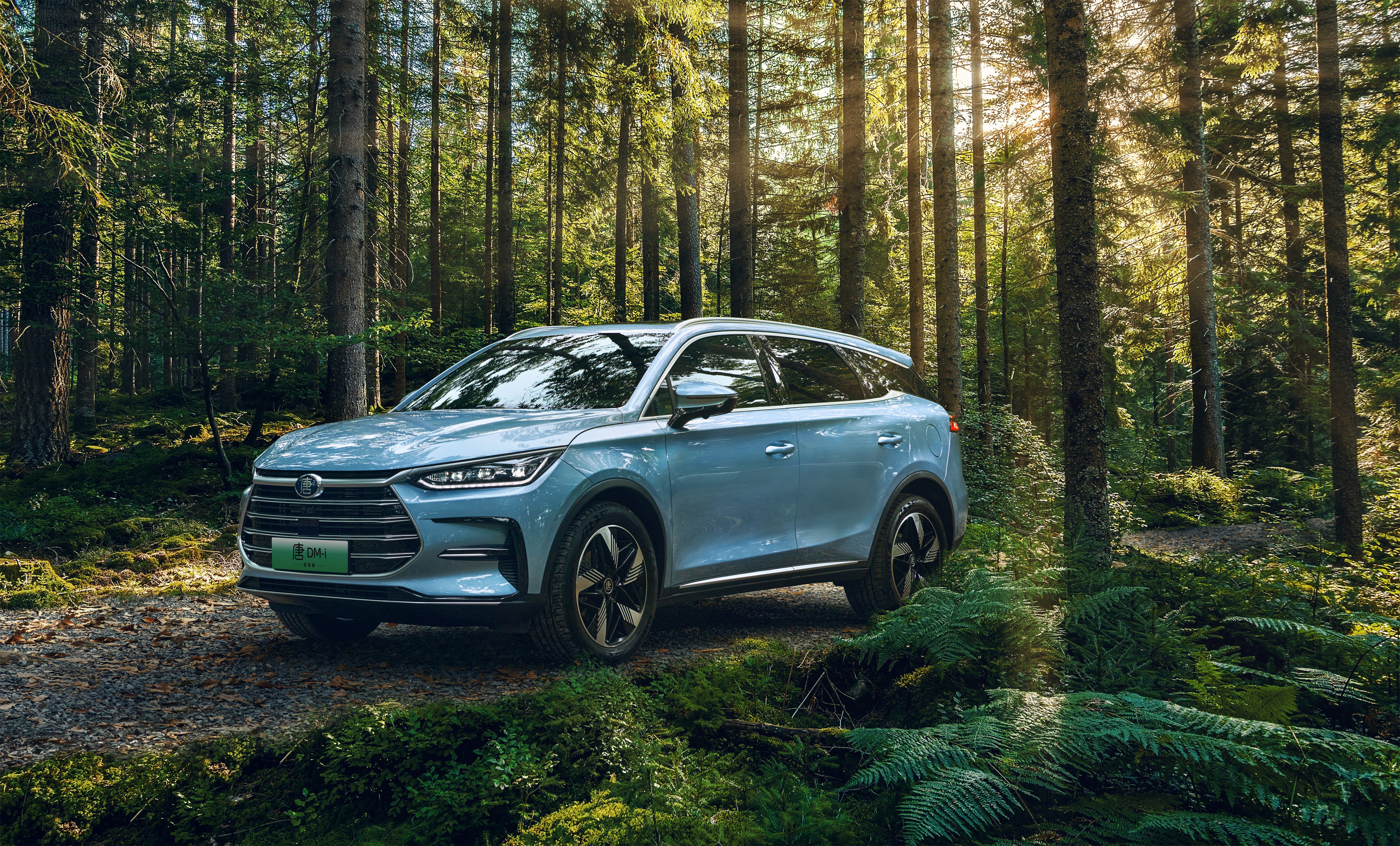 比亚迪汉唐双旗舰冠军版正式上市,比亚迪汉唐双旗舰冠军版售价