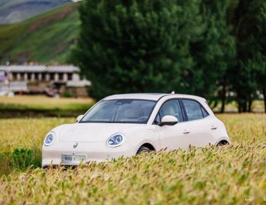 欧拉好猫和海豚试驾对比,欧拉好猫苏州哪里可以试驾
