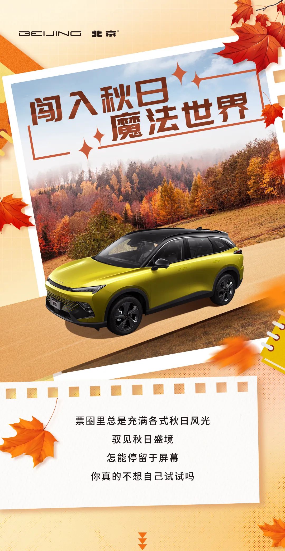 快来领你的壁纸,秋日壁纸