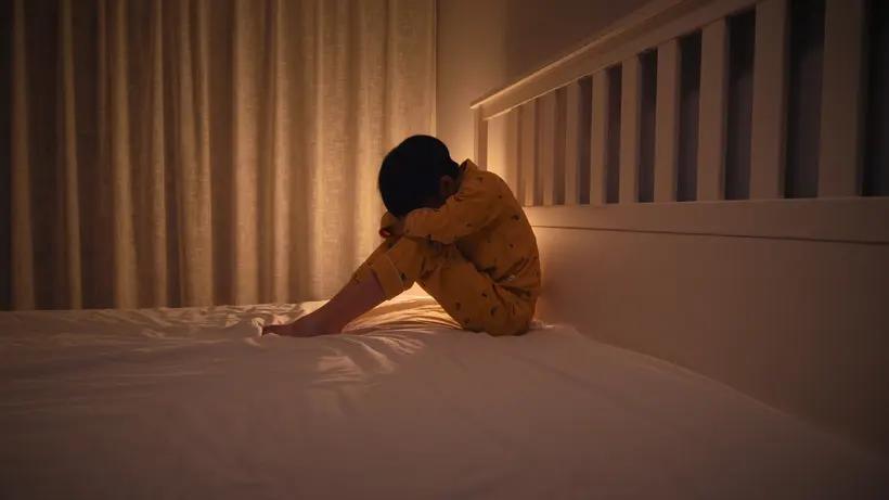 这样清幽的香，只堪供祝神圣的你