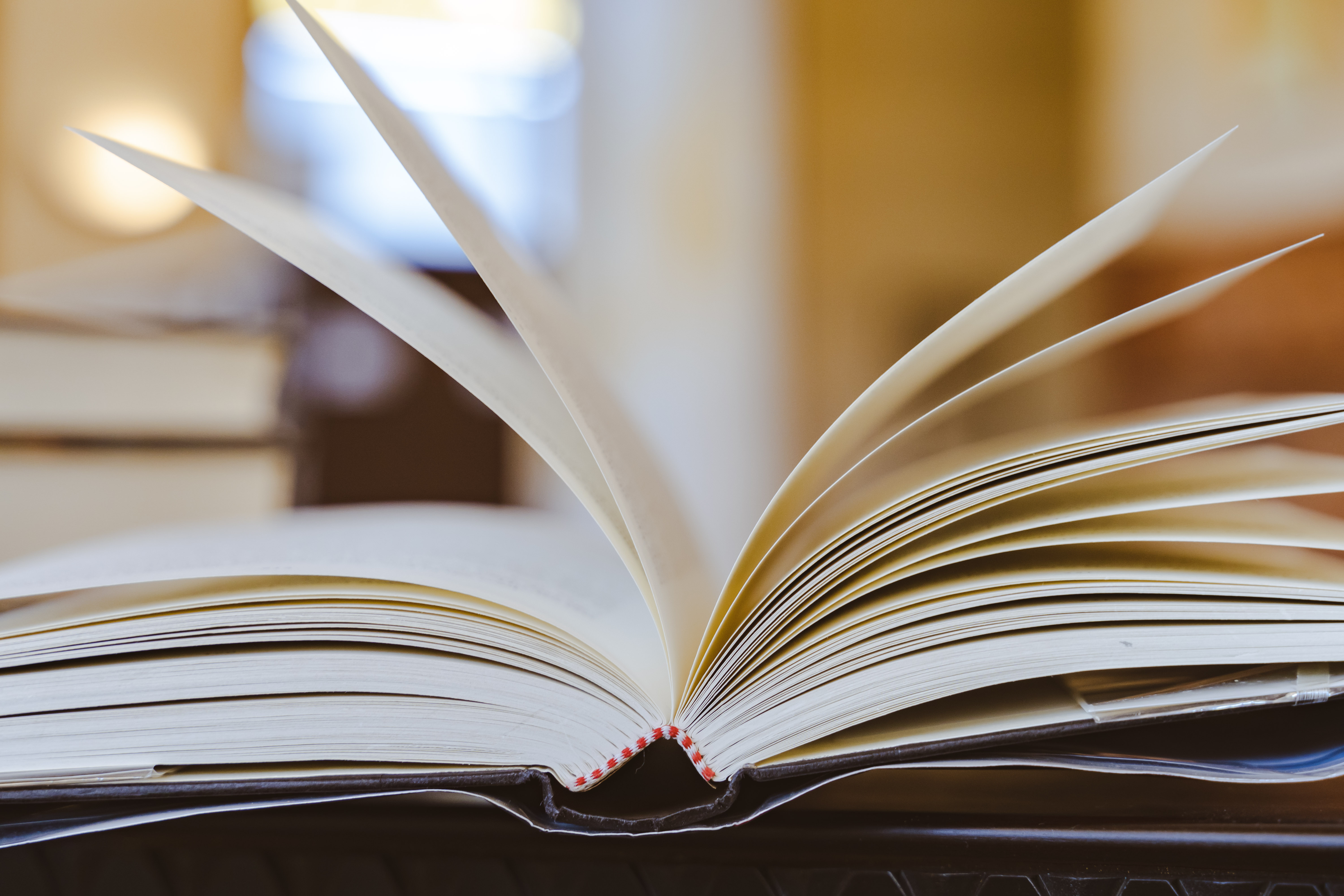 小说：青铜试炼？闭眼都能过的试炼！