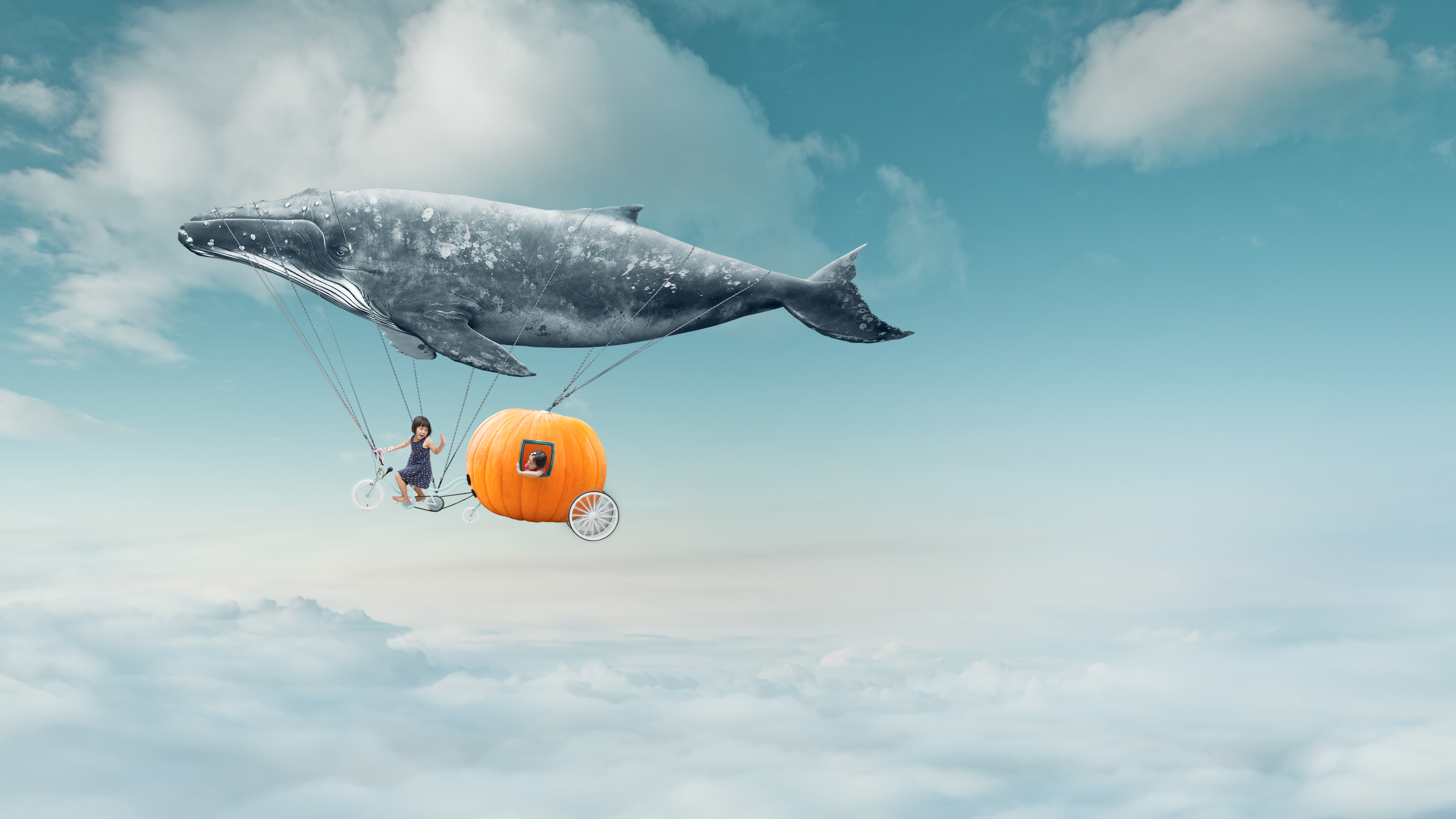 小说学渣的逆袭我看书就变强,学霸学渣体育生的小说