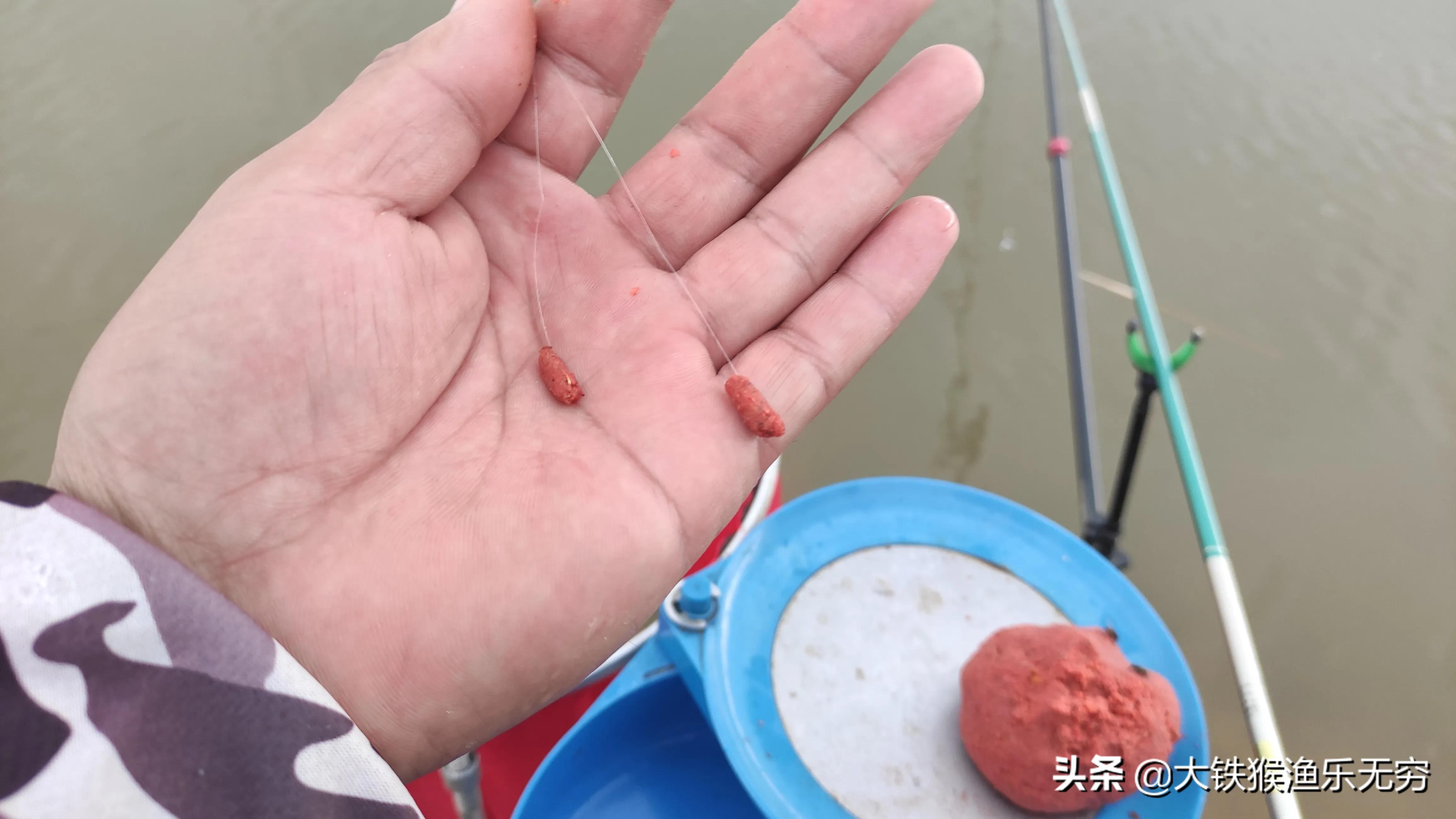 想成为万众瞩目的高手吗,想成为钓鱼大师难吗