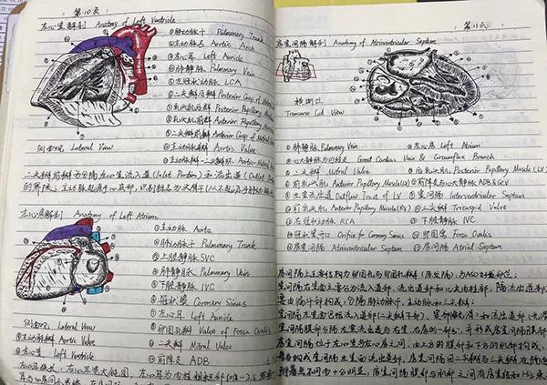 川大医学笔记,成都中医药大学学生救人人民日报