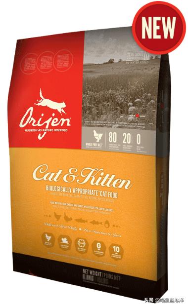 幼猫不知道之前吃什么猫粮怎么办,幼猫该吃什么东西