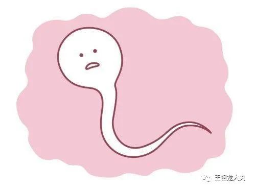 一篇文章让你秒懂精液分析报告单