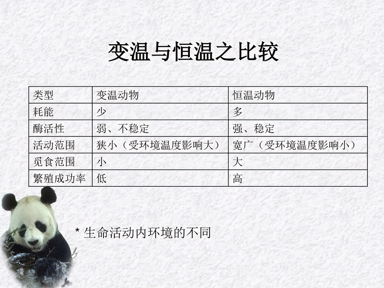 巨蟒蛇才是世界上最大的蛇,比500米巨蟒还厉害的蛇