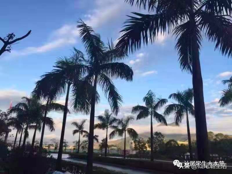 汕尾排名前十学校,汕尾海丰母校