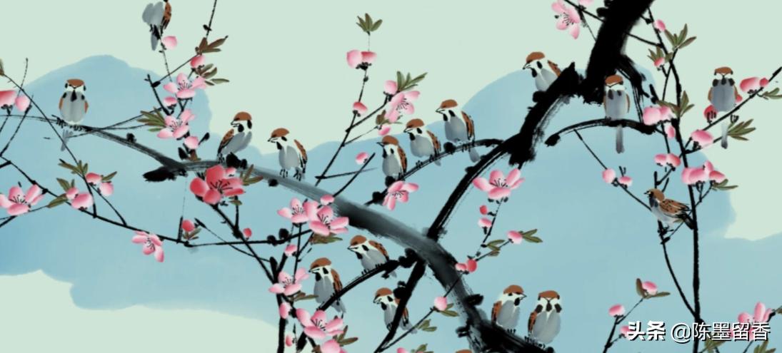 为什么中国人习惯叫外国人的姓,小和晓取名的区别