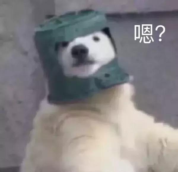 杭州民办学费,杭州西湖区民办小学学费