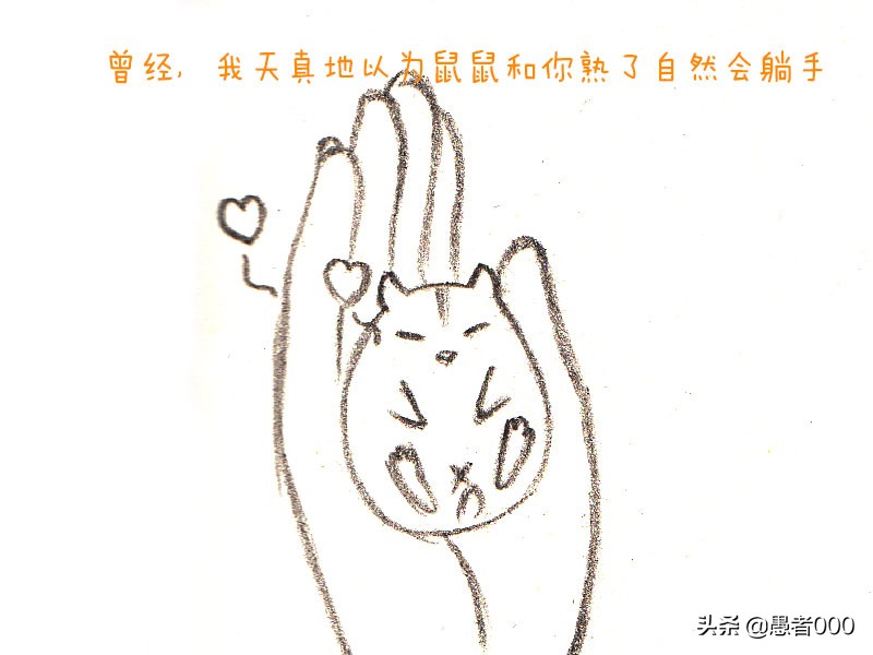 画可爱的仓鼠漫画,可爱的小仓鼠简单的漫画