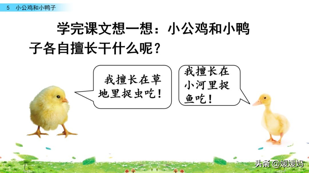一年级下小公鸡和小鸭子课文重点,小公鸡和小鸭子一年级下册视频