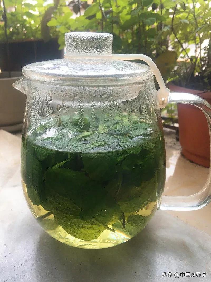 药食同源目录大全集,药食同源二十八课