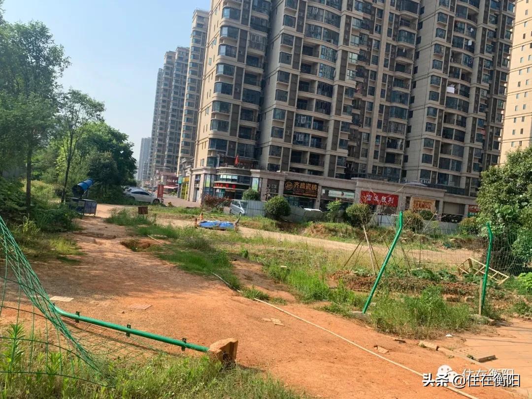 鉴盘②丨碧桂园入衡首盘,五星级的家兑现了吗?