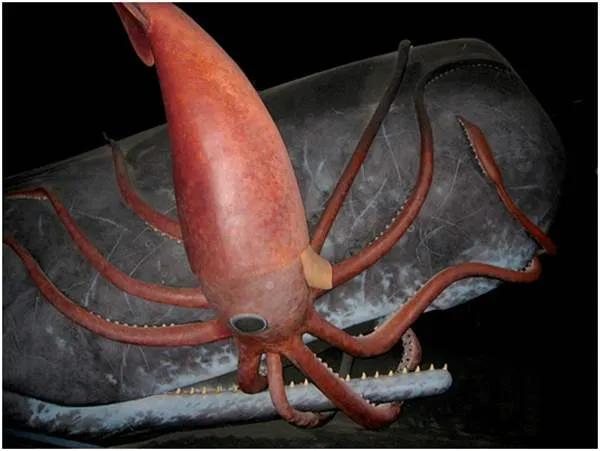 一块屎价值500万？？？