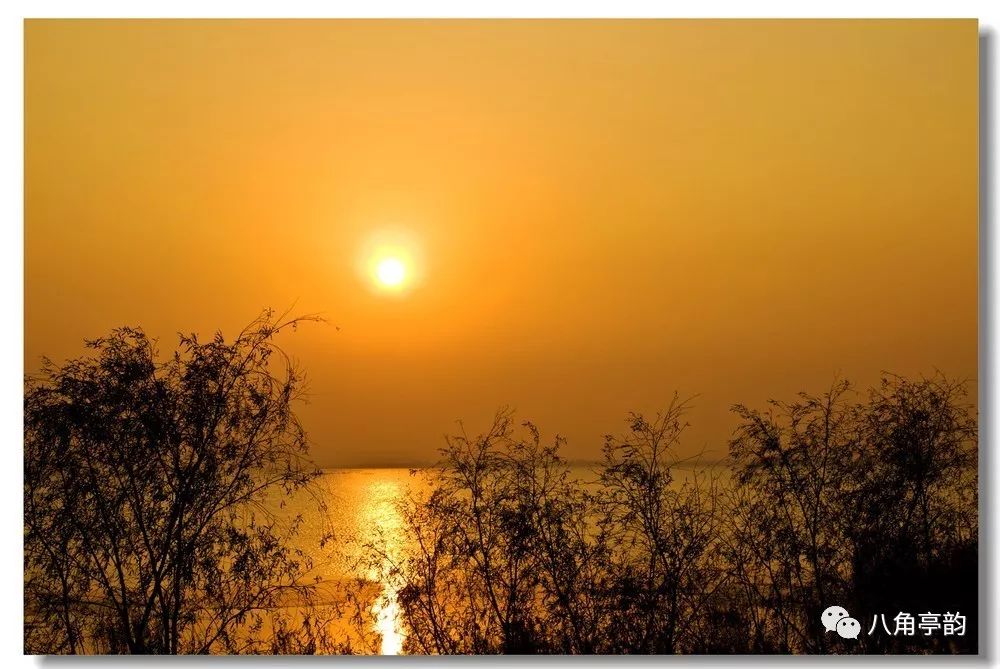 今夜，古角从心中流过