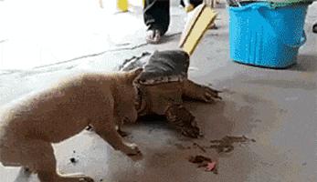 捡到了u盘里面会有什么,捡到一个u盘还好没有用