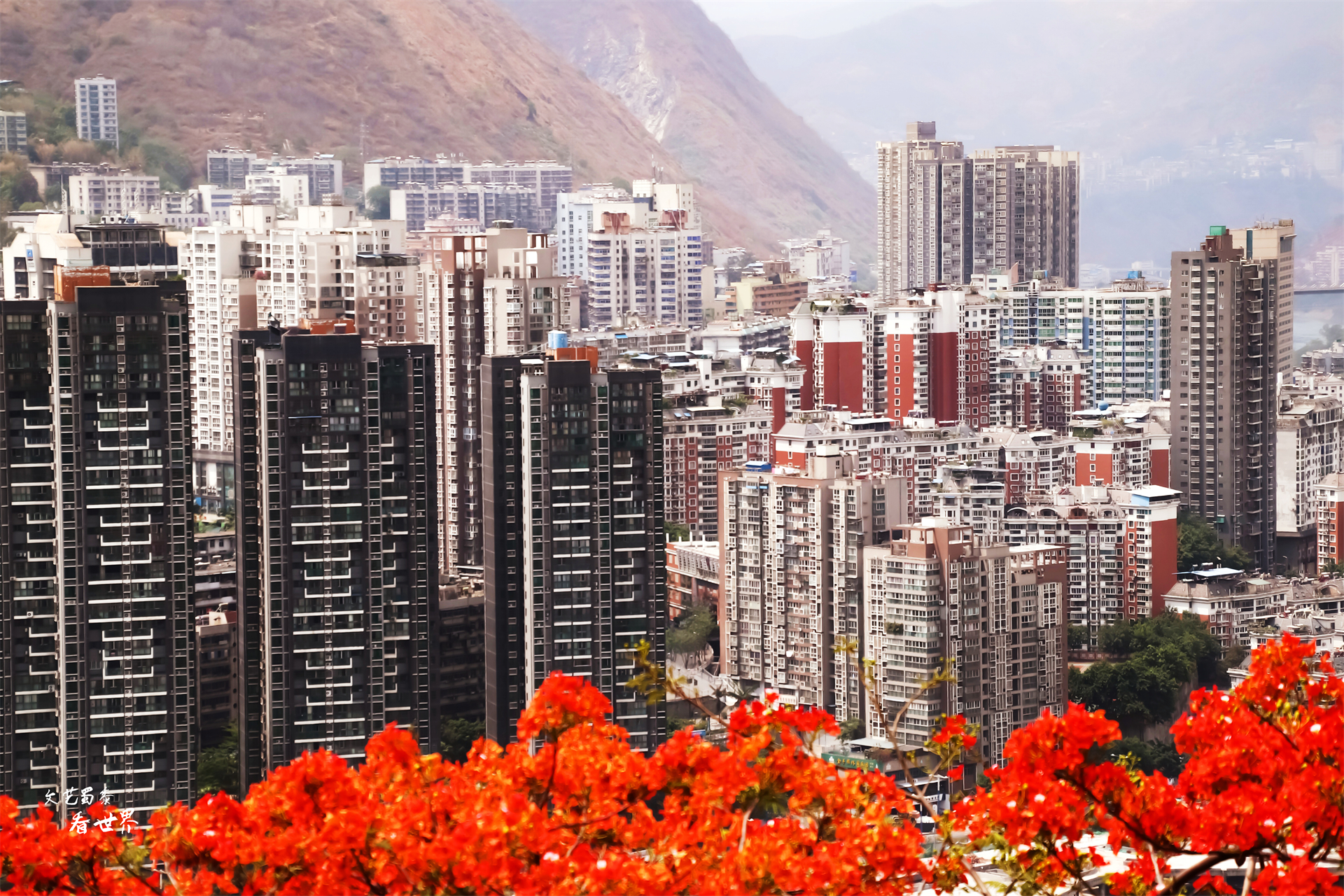 北海和攀枝花哪个适合过冬,去攀枝花过冬