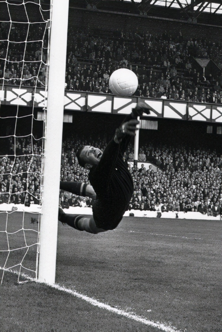 2022年十大守门员精彩瞬间,最伟大十大门将