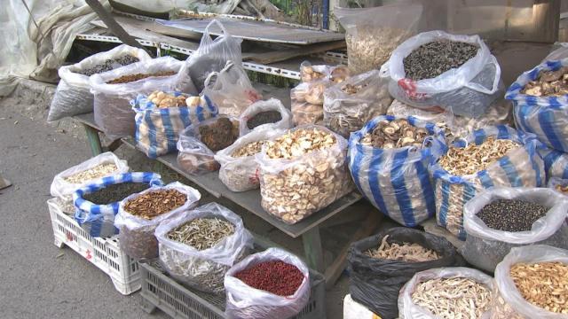 抚松县原始森林,吉林抚松森林