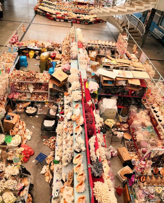 秦皇岛南戴河吃海鲜哪里便宜,秦皇岛海鲜哪里最好最实惠