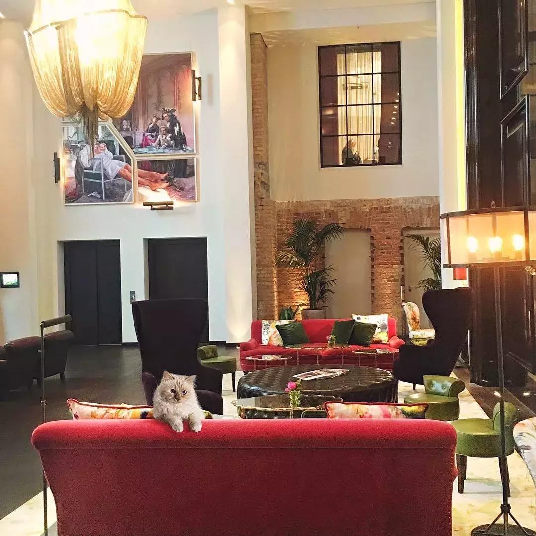 大熊猫一年可以赚钱几个亿,一只猫一年挣3000万