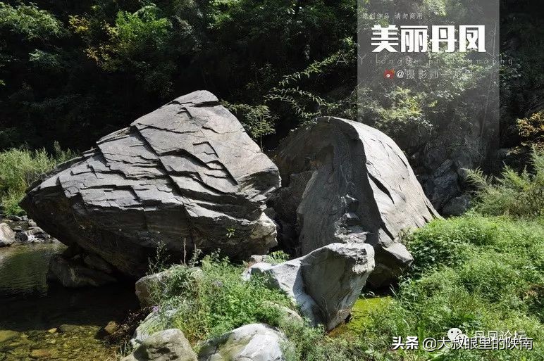 丹凤第一小学老师,丹凤县第一小学老师视频