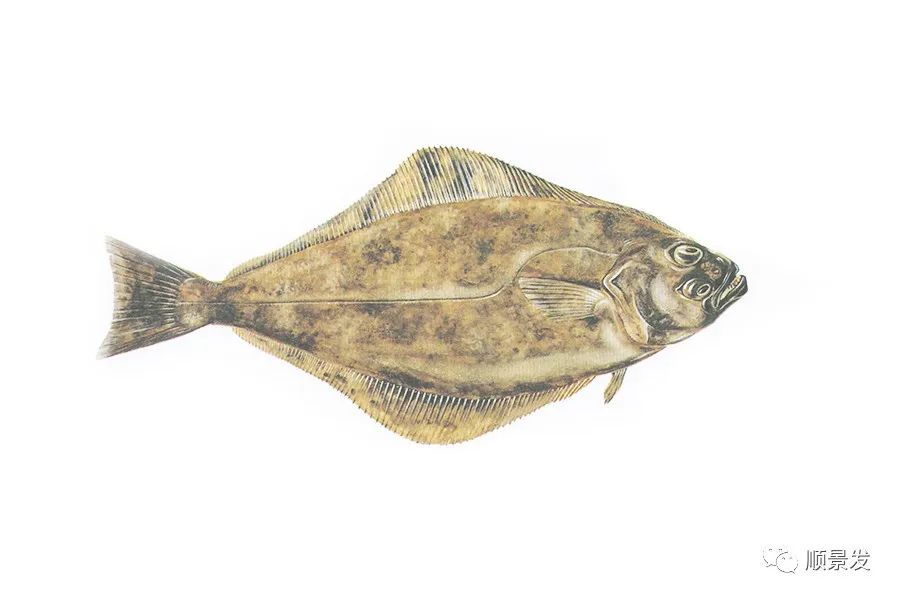 挪威和中国签订协议,挪威希望与中国加强合作