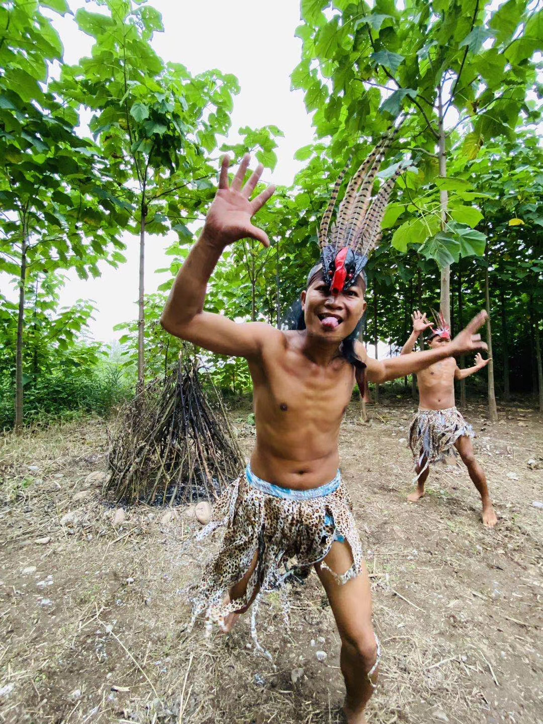 井陉豌豆农庄视频,河北省井陉县豌豆农庄