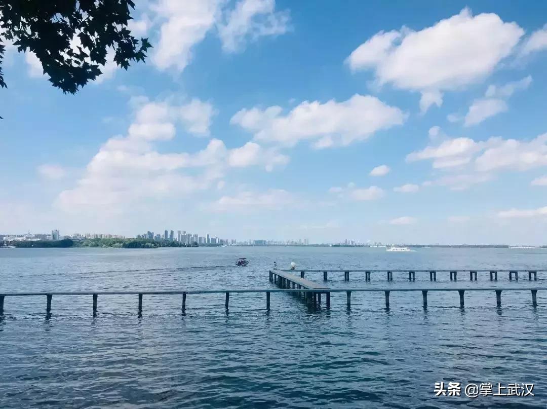 武汉人对长江的感情,为什么说武汉对外地人友好