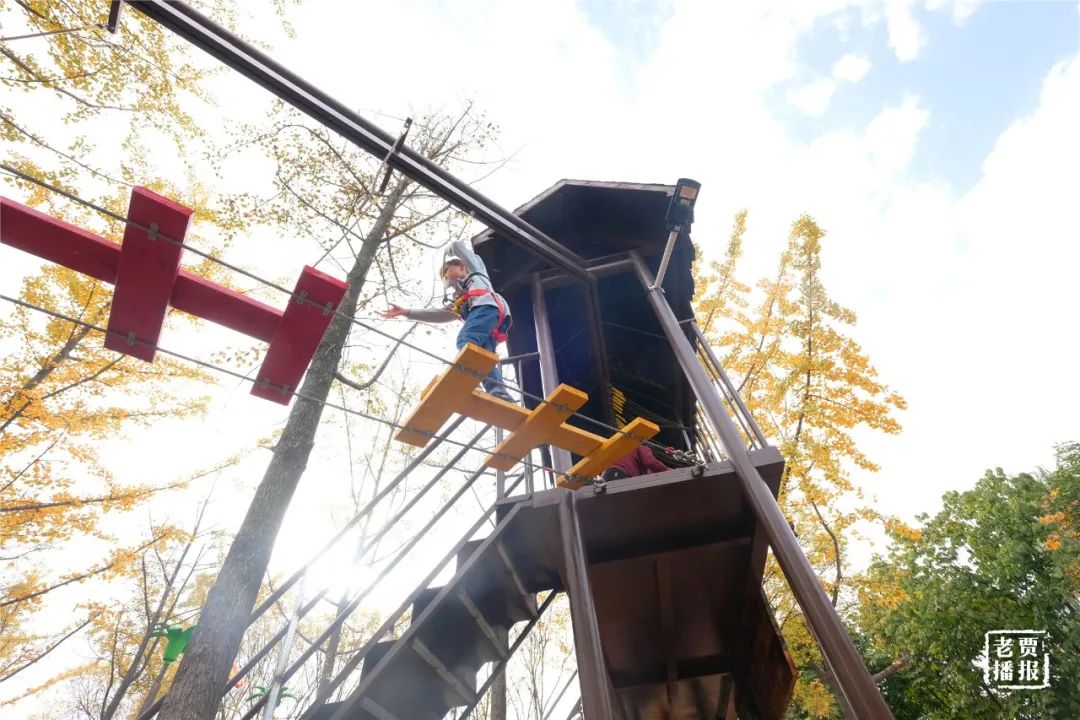 洛阳一大型网红公园免费开放,洛阳湿地公园网红打卡地