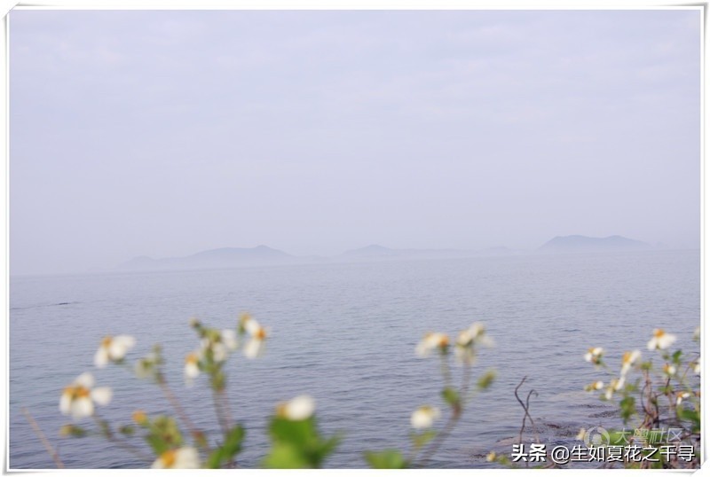 深圳市杨梅坑美人鱼拍摄基地,深圳大鹏杨梅坑美人鱼拍摄地点