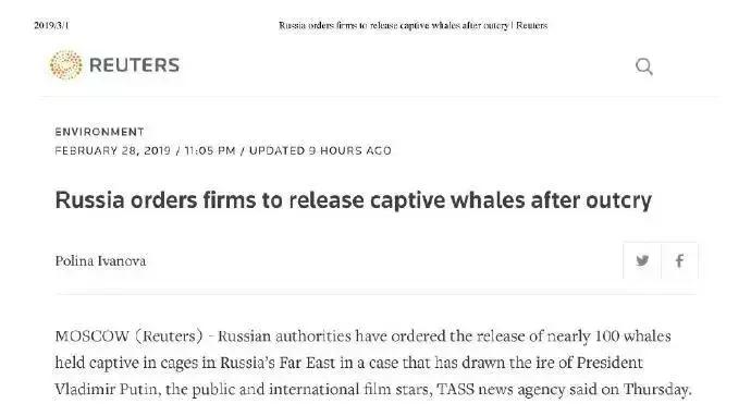 难得一见海洋动物表演,看不完的海洋动物和表演