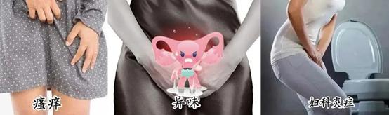 乐娇YOUJOY豌豆公主，30秒放松身心，掌心中的“迪士尼”乐园