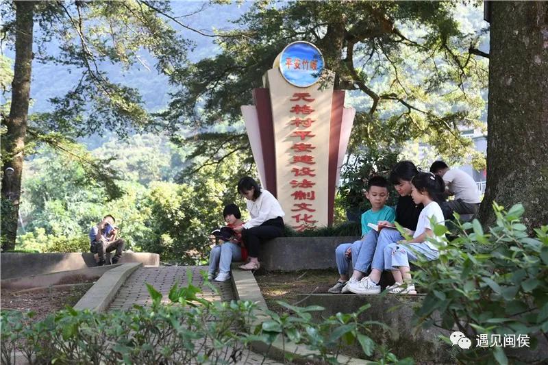 古树群下现“鸟巢书屋”，快来闽侯“悦”读一下