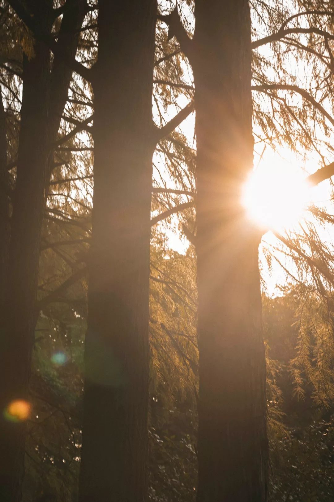 武汉最新的好消息,武汉近期好消息