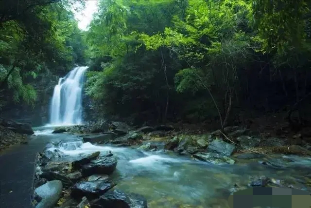 松露昂贵,松露价格大概是多少