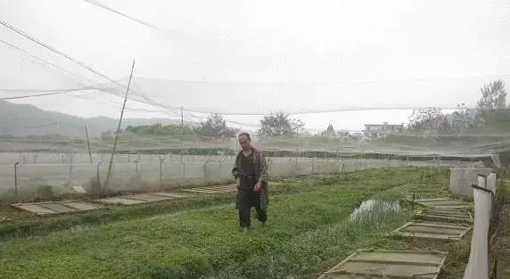 脱贫攻坚发家致富在路上,脱贫攻坚小蚂蚱蹦出一条致富路