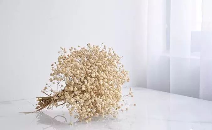 鲜花和干花的不同美感,有哪些花可以制作干花